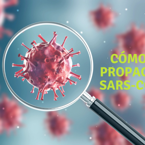 buscando el virus