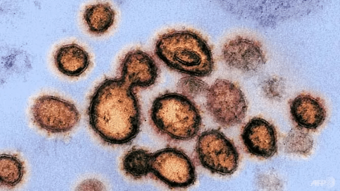 SARS-CoV-2, el virus que causa COVID-19